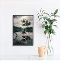 Picture of Tree Reflection _GroupedProduct_Rectangle_Portrait_Photography _GroupedProduct_Rectangle_Portrait_Canvas_Framed_
