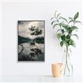 Picture of Tree Reflection _GroupedProduct_Rectangle_Portrait_Photography _GroupedProduct_Rectangle_Portrait_Canvas_Framed_