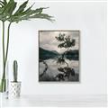 Picture of Tree Reflection _GroupedProduct_Rectangle_Portrait_Photography _GroupedProduct_Rectangle_Portrait_Canvas_Framed_