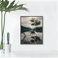 Picture of Tree Reflection _GroupedProduct_Rectangle_Portrait_Photography _GroupedProduct_Rectangle_Portrait_Canvas_Framed_
