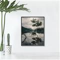 Picture of Tree Reflection _GroupedProduct_Rectangle_Portrait_Photography _GroupedProduct_Rectangle_Portrait_Canvas_Framed_
