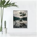 Picture of Tree Reflection _GroupedProduct_Rectangle_Portrait_Photography _GroupedProduct_Rectangle_Portrait_Canvas_Framed_
