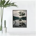 Picture of Tree Reflection _GroupedProduct_Rectangle_Portrait_Photography _GroupedProduct_Rectangle_Portrait_Canvas_Framed_