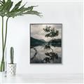 Picture of Tree Reflection _GroupedProduct_Rectangle_Portrait_Photography _GroupedProduct_Rectangle_Portrait_Canvas_Framed_