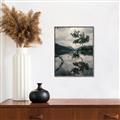 Picture of Tree Reflection _GroupedProduct_Rectangle_Portrait_Photography _GroupedProduct_Rectangle_Portrait_Canvas_Framed_