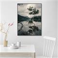 Picture of Tree Reflection _GroupedProduct_Rectangle_Portrait_Photography _GroupedProduct_Rectangle_Portrait_Canvas_Framed_