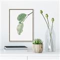 Picture of Dewey leaves _GroupedProduct_Rectangle_Portrait_Photography _GroupedProduct_Rectangle_Portrait_Canvas_Framed_