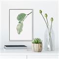 Picture of Dewey leaves _GroupedProduct_Rectangle_Portrait_Photography _GroupedProduct_Rectangle_Portrait_Canvas_Framed_