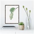 Picture of Dewey leaves _GroupedProduct_Rectangle_Portrait_Photography _GroupedProduct_Rectangle_Portrait_Canvas_Framed_