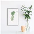 Picture of Dewey leaves _GroupedProduct_Rectangle_Portrait_Photography _GroupedProduct_Rectangle_Portrait_Canvas_Framed_