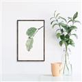 Picture of Dewey leaves _GroupedProduct_Rectangle_Portrait_Photography _GroupedProduct_Rectangle_Portrait_Canvas_Framed_