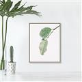 Picture of Dewey leaves _GroupedProduct_Rectangle_Portrait_Photography _GroupedProduct_Rectangle_Portrait_Canvas_Framed_