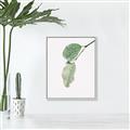 Picture of Dewey leaves _GroupedProduct_Rectangle_Portrait_Photography _GroupedProduct_Rectangle_Portrait_Canvas_Framed_