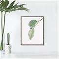 Picture of Dewey leaves _GroupedProduct_Rectangle_Portrait_Photography _GroupedProduct_Rectangle_Portrait_Canvas_Framed_