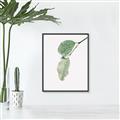 Picture of Dewey leaves _GroupedProduct_Rectangle_Portrait_Photography _GroupedProduct_Rectangle_Portrait_Canvas_Framed_