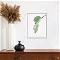 Picture of Dewey leaves _GroupedProduct_Rectangle_Portrait_Photography _GroupedProduct_Rectangle_Portrait_Canvas_Framed_
