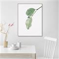 Picture of Dewey leaves _GroupedProduct_Rectangle_Portrait_Photography _GroupedProduct_Rectangle_Portrait_Canvas_Framed_