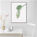 Picture of Dewey leaves _GroupedProduct_Rectangle_Portrait_Photography _GroupedProduct_Rectangle_Portrait_Canvas_Framed_
