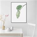 Picture of Dewey leaves _GroupedProduct_Rectangle_Portrait_Photography _GroupedProduct_Rectangle_Portrait_Canvas_Framed_