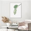 Picture of Dewey leaves _GroupedProduct_Rectangle_Portrait_Photography _GroupedProduct_Rectangle_Portrait_Canvas_Framed_