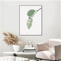Picture of Dewey leaves _GroupedProduct_Rectangle_Portrait_Photography _GroupedProduct_Rectangle_Portrait_Canvas_Framed_