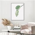 Picture of Dewey leaves _GroupedProduct_Rectangle_Portrait_Photography _GroupedProduct_Rectangle_Portrait_Canvas_Framed_