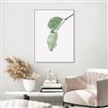 Picture of Dewey leaves _GroupedProduct_Rectangle_Portrait_Photography _GroupedProduct_Rectangle_Portrait_Canvas_Framed_