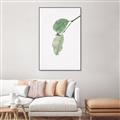 Picture of Dewey leaves _GroupedProduct_Rectangle_Portrait_Photography _GroupedProduct_Rectangle_Portrait_Canvas_Framed_