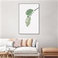 Picture of Dewey leaves _GroupedProduct_Rectangle_Portrait_Photography _GroupedProduct_Rectangle_Portrait_Canvas_Framed_