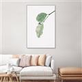 Picture of Dewey leaves _GroupedProduct_Rectangle_Portrait_Photography _GroupedProduct_Rectangle_Portrait_Canvas_Framed_