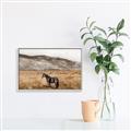 Picture of Mustard Grass Horse _GroupedProduct_Rectangle_Landscape_Photography _GroupedProduct_Rectangle_Landscape_Canvas_Framed_