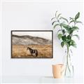 Picture of Mustard Grass Horse _GroupedProduct_Rectangle_Landscape_Photography _GroupedProduct_Rectangle_Landscape_Canvas_Framed_