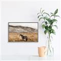 Picture of Mustard Grass Horse _GroupedProduct_Rectangle_Landscape_Photography _GroupedProduct_Rectangle_Landscape_Canvas_Framed_