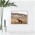 Picture of Mustard Grass Horse _GroupedProduct_Rectangle_Landscape_Photography _GroupedProduct_Rectangle_Landscape_Canvas_Framed_