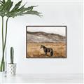 Picture of Mustard Grass Horse _GroupedProduct_Rectangle_Landscape_Photography _GroupedProduct_Rectangle_Landscape_Canvas_Framed_