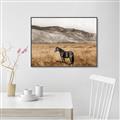 Picture of Mustard Grass Horse _GroupedProduct_Rectangle_Landscape_Photography _GroupedProduct_Rectangle_Landscape_Canvas_Framed_