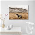 Picture of Mustard Grass Horse _GroupedProduct_Rectangle_Landscape_Photography _GroupedProduct_Rectangle_Landscape_Canvas_Framed_