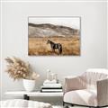 Picture of Mustard Grass Horse _GroupedProduct_Rectangle_Landscape_Photography _GroupedProduct_Rectangle_Landscape_Canvas_Framed_