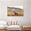 Picture of Mustard Grass Horse _GroupedProduct_Rectangle_Landscape_Photography _GroupedProduct_Rectangle_Landscape_Canvas_Framed_