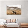 Picture of Mustard Grass Horse _GroupedProduct_Rectangle_Landscape_Photography _GroupedProduct_Rectangle_Landscape_Canvas_Framed_