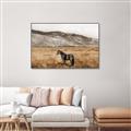 Picture of Mustard Grass Horse _GroupedProduct_Rectangle_Landscape_Photography _GroupedProduct_Rectangle_Landscape_Canvas_Framed_