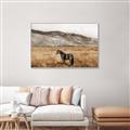 Picture of Mustard Grass Horse _GroupedProduct_Rectangle_Landscape_Photography _GroupedProduct_Rectangle_Landscape_Canvas_Framed_