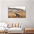 Picture of Mustard Grass Horse _GroupedProduct_Rectangle_Landscape_Photography _GroupedProduct_Rectangle_Landscape_Canvas_Framed_