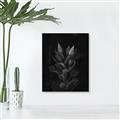 Picture of Tropical Bliss _GroupedProduct_Rectangle_Portrait_Photography _GroupedProduct_Rectangle_Portrait_Unframed_Print_Only_