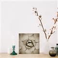 Picture of Eye of the Succulent _GroupedProduct_Square_Photography _GroupedProduct_Square_Unframed_Print_Only_