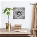 Picture of Eye of the Succulent _GroupedProduct_Square_Photography _GroupedProduct_Square_Unframed_Print_Only_