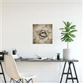 Picture of Eye of the Succulent _GroupedProduct_Square_Photography _GroupedProduct_Square_Unframed_Print_Only_