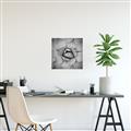 Picture of Eye of the Succulent _GroupedProduct_Square_Photography _GroupedProduct_Square_Unframed_Print_Only_