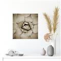 Picture of Eye of the Succulent _GroupedProduct_Square_Photography _GroupedProduct_Square_Unframed_Print_Only_