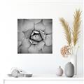 Picture of Eye of the Succulent _GroupedProduct_Square_Photography _GroupedProduct_Square_Unframed_Print_Only_